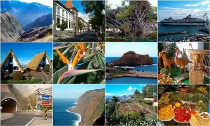 Madeira - az összes információt a szigeten található, látványosság