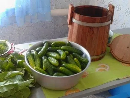 A legjobb fajta uborka pácolás és a tokozás - részletes beszámolót!