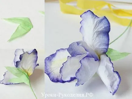 Mesterkurzus íriszek papír - kézimunka tanulságok (zöld színű papír) Mesterkurzus íriszek papír - kézimunka órák