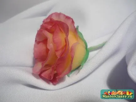 Mester osztályban a hideg porcelán rózsák kezdőknek fotók és videó (mesterkurzus a hideg porcelán) Mester osztályban a hideg porcelán rózsák kezdőknek fotók és videó
