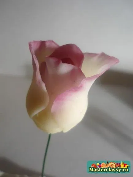 Mester osztályban a hideg porcelán rózsák kezdőknek fotók és videó (master class) Mester osztályban a hideg porcelán rózsák kezdőknek fotók és videó