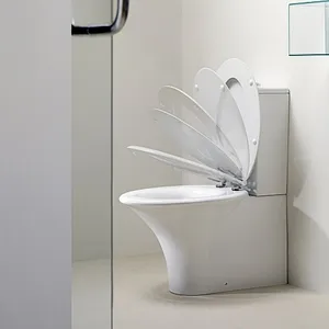 Emelő a WC készülék, előnyeit és hátrányait, a telepítés ez a berendezés (WC emelő) Lifter a WC-berendezés, az érvek és ellenérvek, a telepítés ezen eszközök