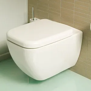 Emelő a WC készülék, előnyeit és hátrányait, a telepítés ez a berendezés (WC emelő) Lifter a WC-berendezés, az érvek és ellenérvek, a telepítés ezen eszközök