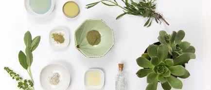 Mítoszok és igazság a bio kozmetikumok - én kézikönyv, a kézikönyv (Fresh Natura sibirica) Mítoszok és igazság a bio kozmetikumok - én kézikönyv, a kézikönyv