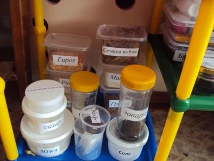Mini-laboratórium „Ki tudja?” A előkészítő csoport (óvodák) Mini-laboratórium „Ki tudja?” A előkészítő csoport