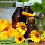 Fehér cinquefoil tinktúra - csodaszer az egészség és a hosszú élettartam (fehér) Fehér cinquefoil tinktúra - csodaszer egészség és hosszú élet