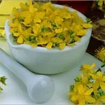Fehér cinquefoil tinktúra - csodaszer az egészség és a hosszú élettartam (Universal) Fehér cinquefoil tinktúra - csodaszer egészség és hosszú élet