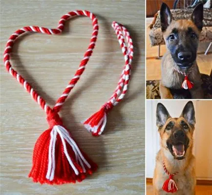 Charms állatoknak (kutyák és macskák) és állattenyésztési saját kezűleg
