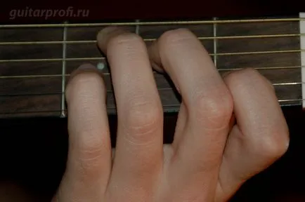 Hetedhangzat a gitár