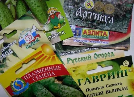 A magokat a felső 10 vetőmagtermelők