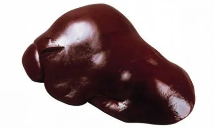 Hogyan növelhető hemoglobin gyógyszerek