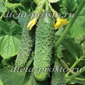 uborka Diet
