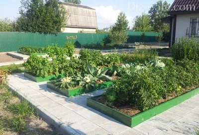 Kerítés virágágyások saját kezűleg, hogyan lehet szalag járdaszegély (járdaszegély) Kerítés virágágyások saját kezűleg, hogyan lehet szalag járdaszegély