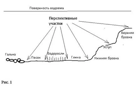 Meghatározása (a tanulmány) a domborzat és az alján a szerkezet (struktúra) Meghatározása (a tanulmány) a domborzat és az alján a szerkezet