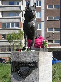 műemlékek kutyák