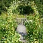 Pergola kezét, hogyan lehet egy kerti arch adni, használati, fotó kialakítás - SWZ Fórum (kéz) Pergola kezét, hogyan lehet egy kerti arch adni, használati, fotó kialakítás - SWZ Fórum