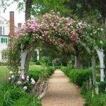 Pergola kezét, hogyan lehet egy kerti arch adni, használati, fotó kialakítás - SWZ Fórum (kéz) Pergola kezét, hogyan lehet egy kerti arch adni, használati, fotó kialakítás - SWZ Fórum