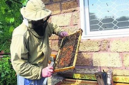 Bee Podmore kezelésére, valamint eljárások