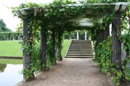 Pergola kezét, hogyan lehet egy kerti arch adni, használati, fotó kialakítás - SWZ Fórum (nyaralók) Pergola kezét, hogyan lehet egy kerti arch adni, használati, fotó kialakítás - SWZ Fórum