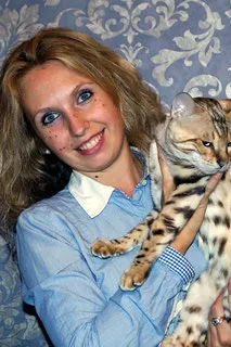 Tenyészet bengáli macskák Bengasi - Bengasi bengáli macskák, kiscicák eladó Rjazanyi (Bengasi) Tenyészet bengáli macskák Bengasi - Bengasi bengáli macskák, kiscicák eladó Ryazan