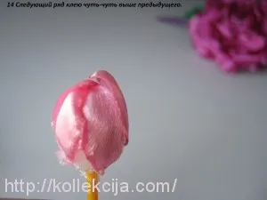 Bazsarózsa szatén szalagok (szalagok) Bazsarózsa szatén szalagok