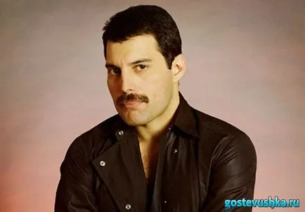 Singer Freddie Mercury