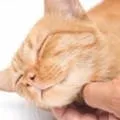 Miért téli vihar nincs egyszerű válasz bonyolult kérdések (télen) Miért téli vihar nincs egyszerű válasz összetett kérdések