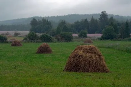 Miért van az, hogy a nyáron meg kell menni a tengeren