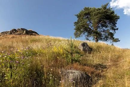 Miért van az, hogy a nyáron meg kell menni a tengeren