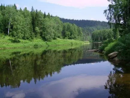 Miért kell védeni az erdő