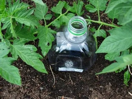 Öntözés az üvegházban a kezüket (locsolás) Öntözés az üvegházban a kezüket