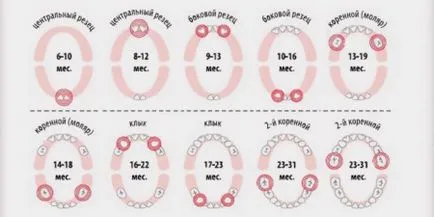 A sorozat kitörés fogak gyermekeknél (11 fotó), hogyan kell mászni fogak tünetek