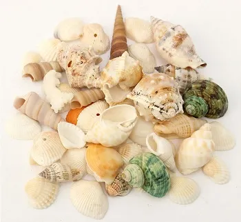 Magatartási szabályok nem törölték a strandon! (Beach) Magatartási szabályok nem törölték a strandon!