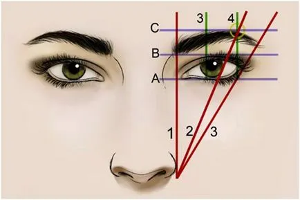 A helyes forma a szemöldök különböző típusú személy hogyan válasszuk ki a tökéletes kép (forma) A helyes forma a szemöldök különböző típusú személy hogyan válasszuk ki a tökéletes képet