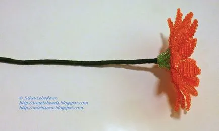 Mesterkurzus gerbera gyöngy Mesterkurzus gerbera gyöngy