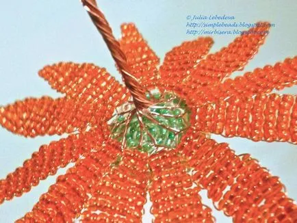 Mesterkurzus gerbera gyöngy Mesterkurzus gerbera gyöngy