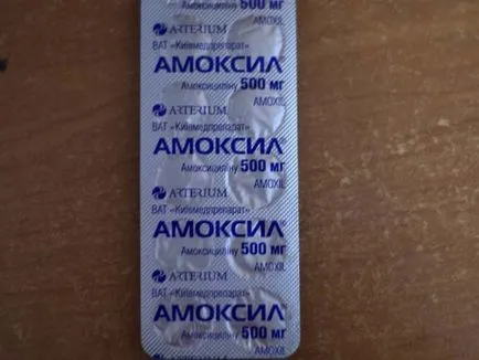 Antibiotikumok kutyáknak Antibiotikumok kutyáknak