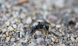 A példázat arról, hogy miért kell élni, az élet értelme