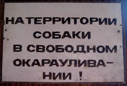 Vicces jelek „Vigyázat mérges kutya” a kerítésen (Funny) Vicces jelek „Vigyázat mérges kutya” a kerítésen