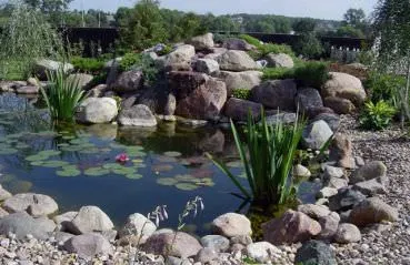 Pond az alpesi slide kezét a helyszín kiválasztásában, típusok tervezési és gyártási lépéseket (Alpine) Pond az alpesi slide kezét a helyszín kiválasztásában, típusok tervezési és gyártási szakaszban