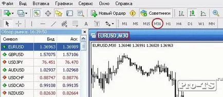 A munka a forex tanácsadókat