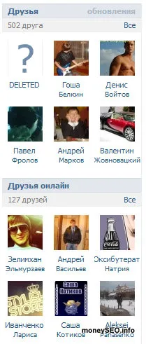 Promotion VKontakte, szoftver