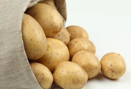 boka rándulás kezelés és tünetek
