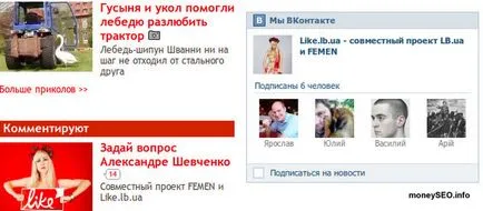 Promotion VKontakte, szoftver