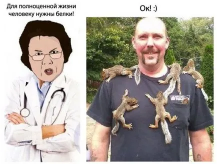 A növényi fehérje az élelmiszerekben