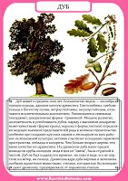 Gyermek fejlődését szerkezetfából