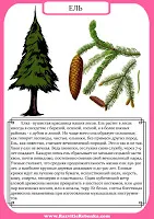 Gyermek fejlődését szerkezetfából