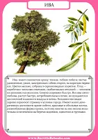 Gyermek fejlődését szerkezetfából