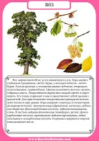 Gyermek fejlődését szerkezetfából