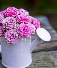 Rose készült ruhát kezével a mester fotó osztály (saját) Roses egy szövet kezedben mesterkurzust fotó